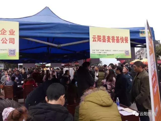 云阳公益性岗位招聘,云阳县2024年人才引进