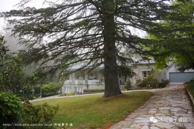 澳大利亚小镇都叫什么名字,澳大利亚蓝山为什么叫蓝山