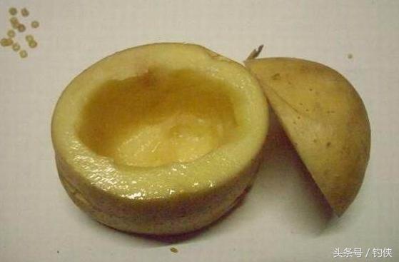 蚯蚓盒保存蚯蚓的方法,红虫蚯蚓粉的使用方法