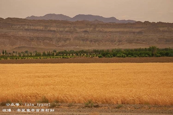 伊朗的公交车,伊朗公交车规定