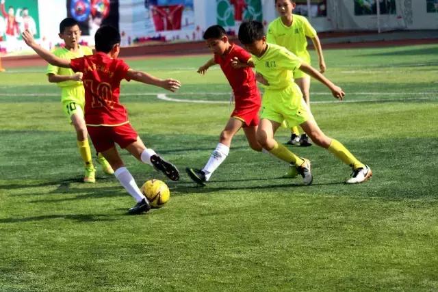 厦门青训足球联赛直播,青训厦门