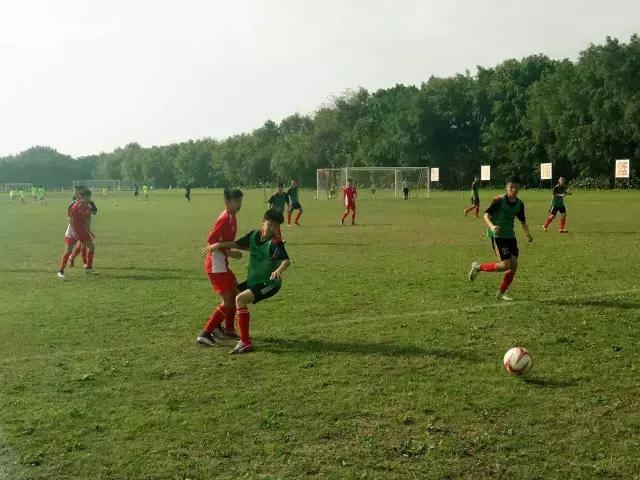 u14锦标赛,u14冠军赛赛程