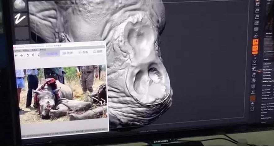 唤醒人类：3D打印真实还原犀牛角被割下后惨烈场景