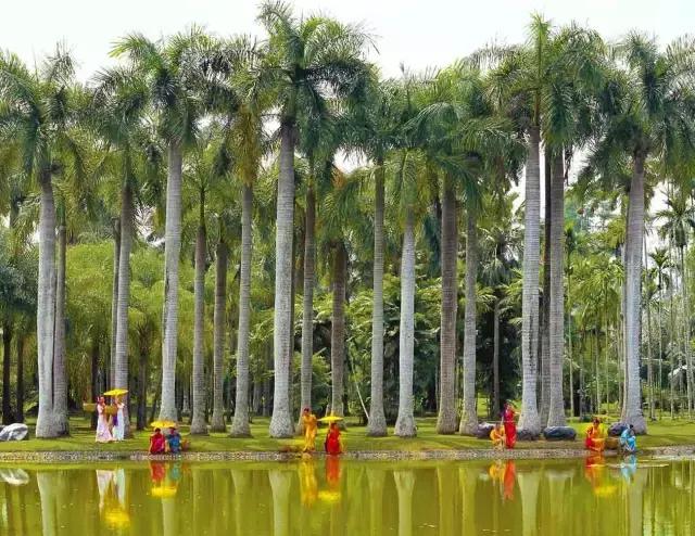 和孩子一起制定下一次旅行的计划,跟着语文书去旅行2020