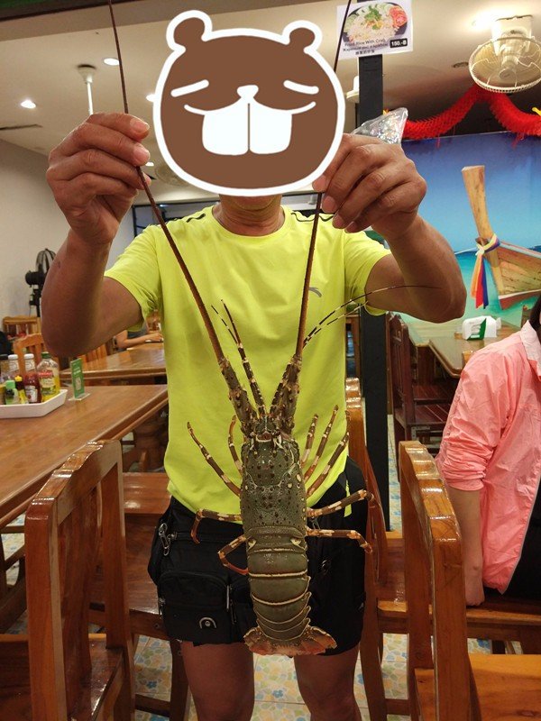 泰国清迈曼谷四日游攻略,说走就走的旅行港澳篇