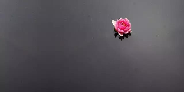 中国书法的精髓是什么,关于中国书法的讲解