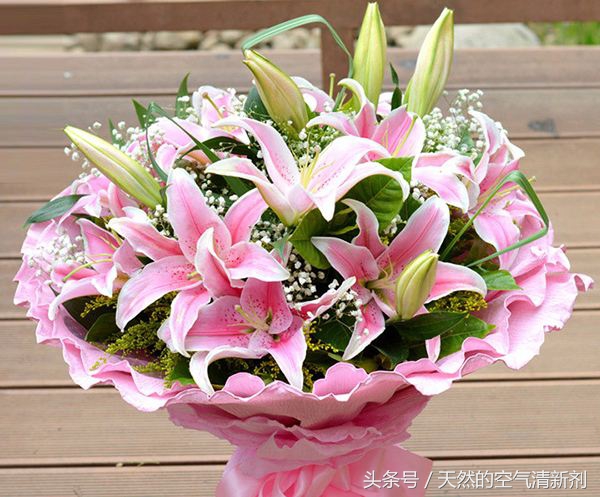 情人节手拿满天星花束最新款图片,情人节创意花束一秒征服吃货的心