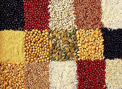 五谷杂粮养生吗,白癜风最怕的一种食物一定要常吃