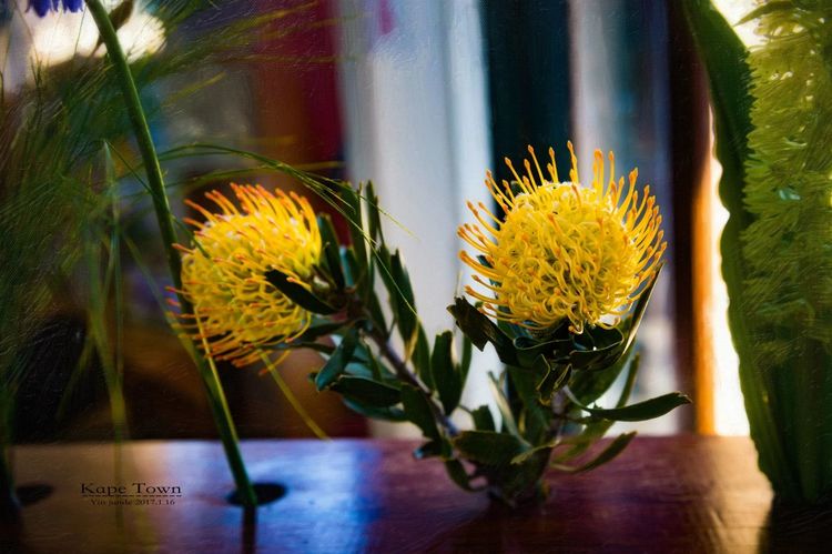 走进彩虹之国感受南非独特之美,彩虹之国南非