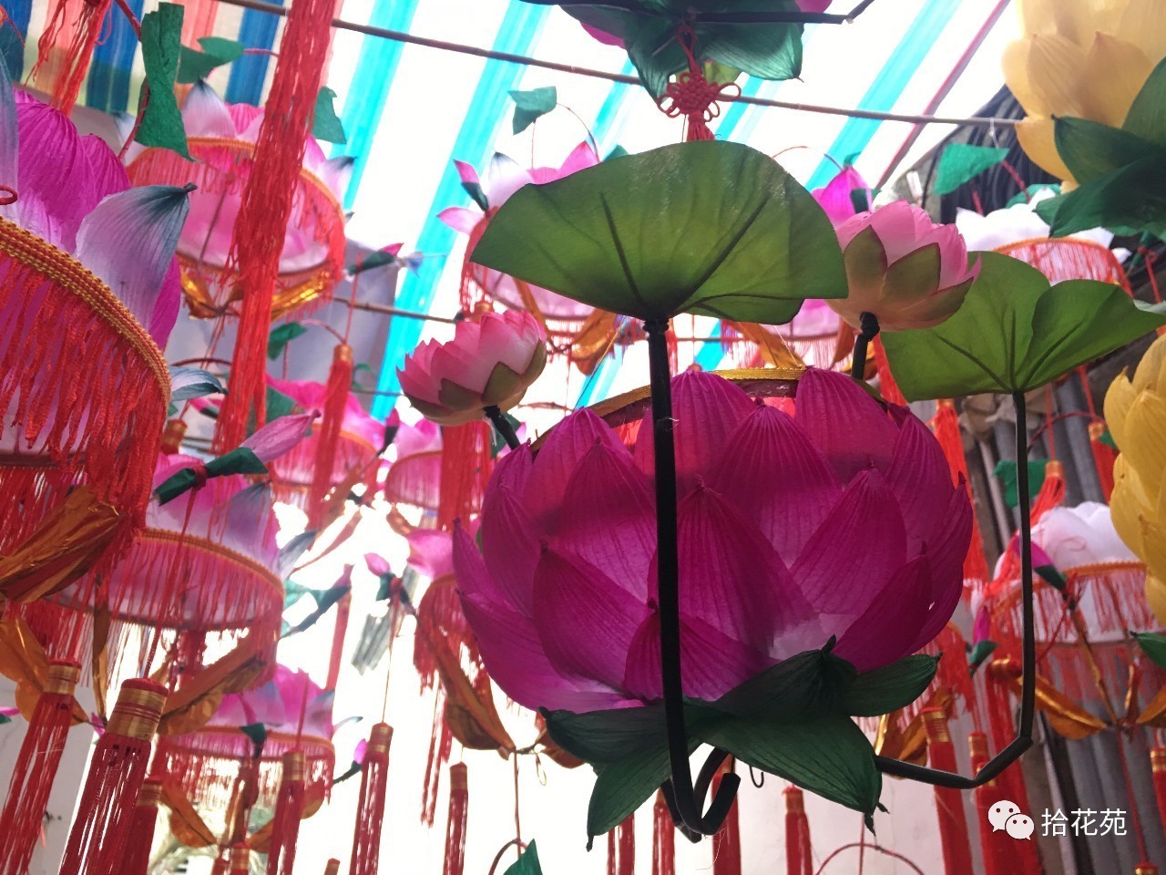 福州不爱做寒假作业的孩子，是因为没买这盏花灯