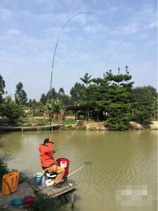 钓友公认药酒测试,钓友鱼饵真实测试