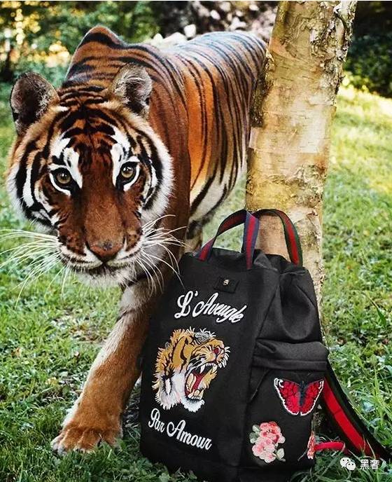 快要开学了你的行李准备好了吗,马上开学了你想要什么样的书包