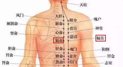 字里藏医全文及解释,字里藏医中医知识