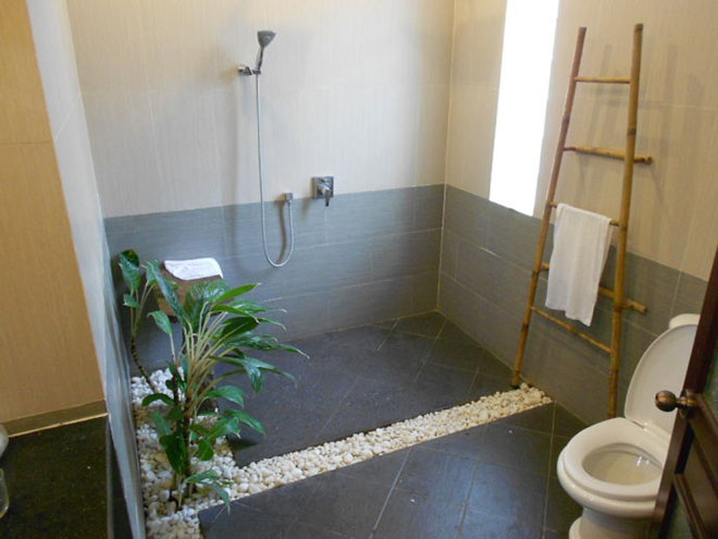 厕所异味放点什么植物,什么植物能吸收厕所的臭气