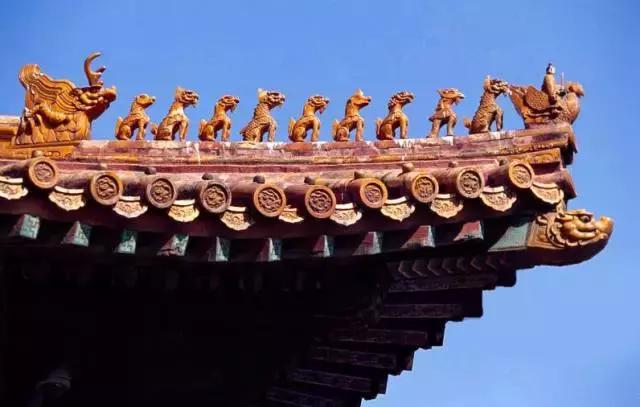 林心如舒淇董卿章子怡姚晨,林心如李小冉舒淇章子怡