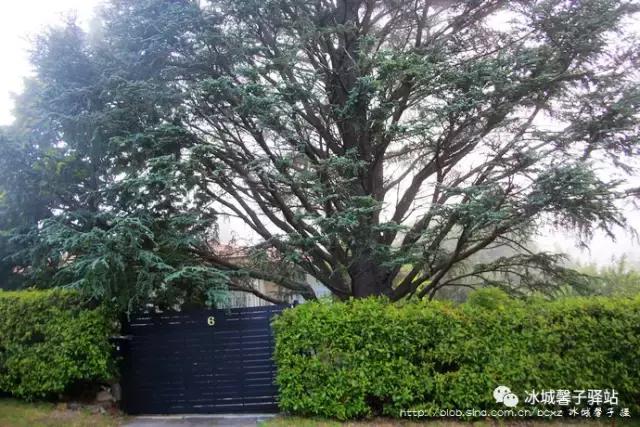 澳大利亚小镇都叫什么名字,澳大利亚蓝山为什么叫蓝山