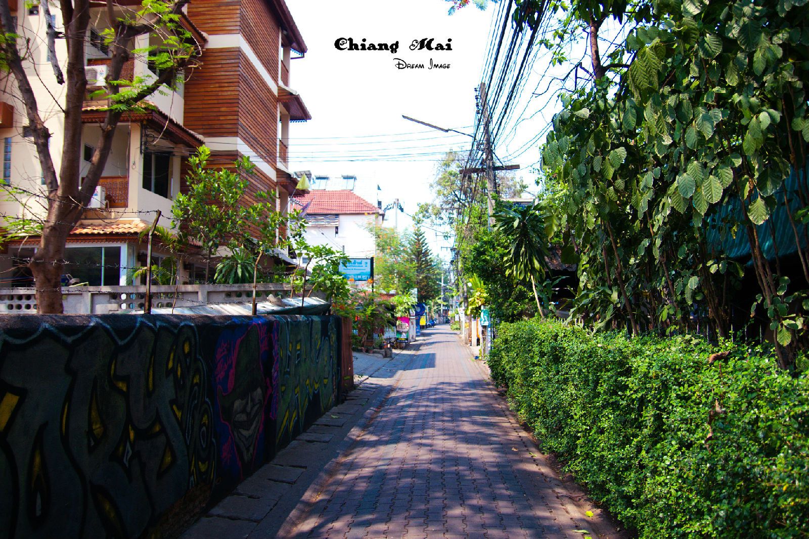 未知的旅途会充满惊喜,未知之旅清迈