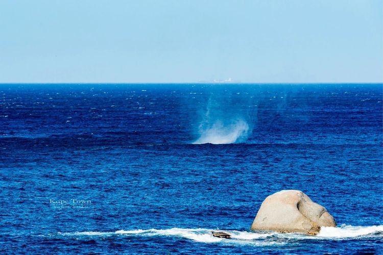 走进彩虹之国感受南非独特之美,彩虹之国南非
