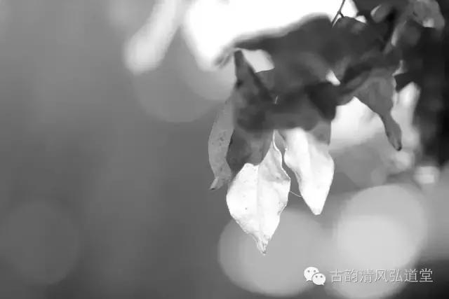 静在自然中,静悟人生真谛