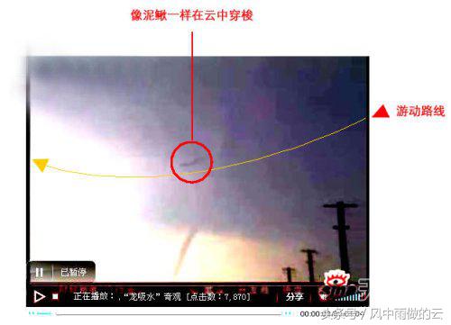 龙存在的证据大全,古代龙真实存在吗