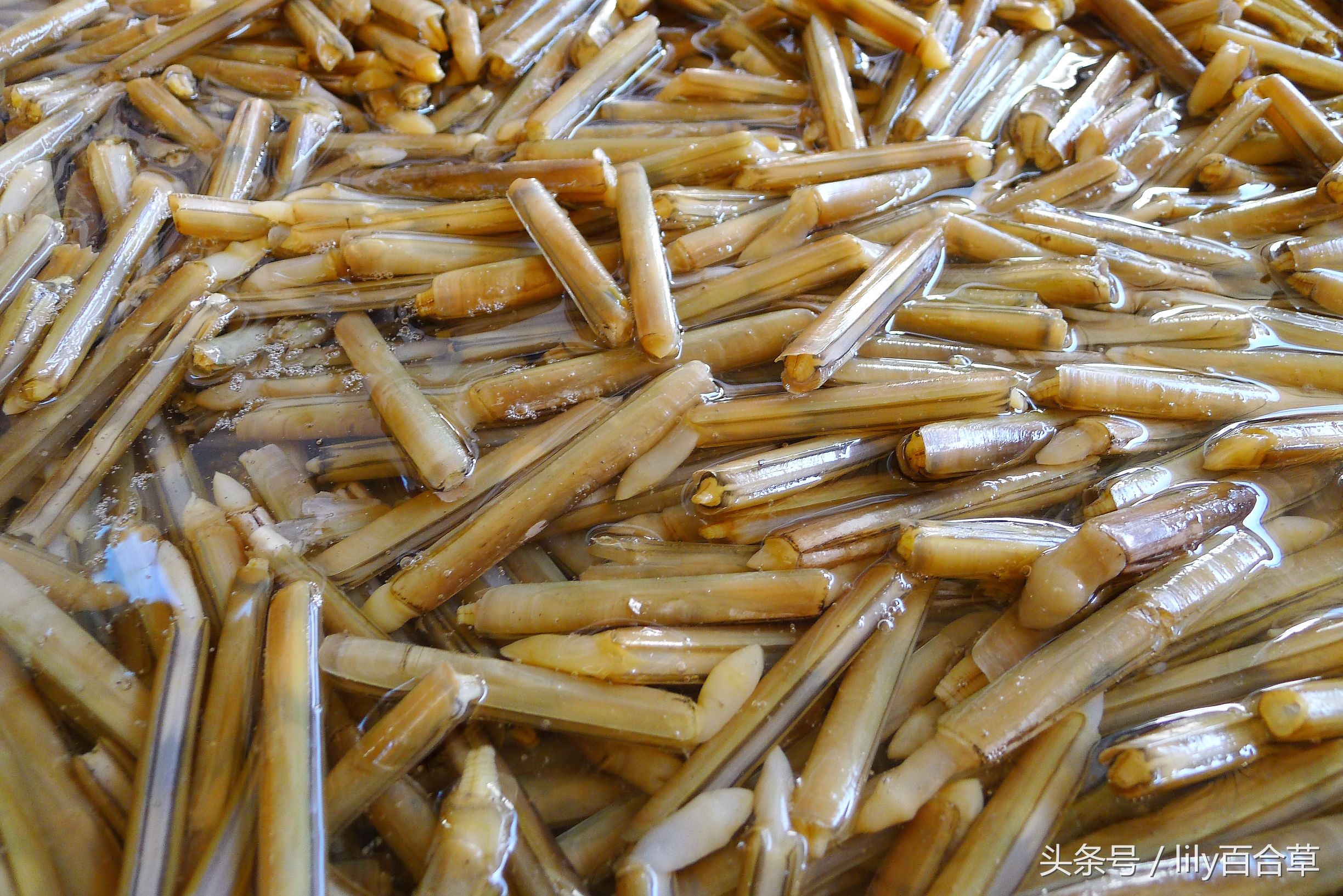 哪些海鲜可以带回家,回家路上可以带海鲜吗