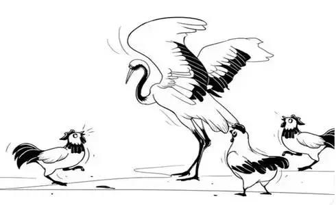 与鸡有关的成语取名,与鸡有关的生肖成语