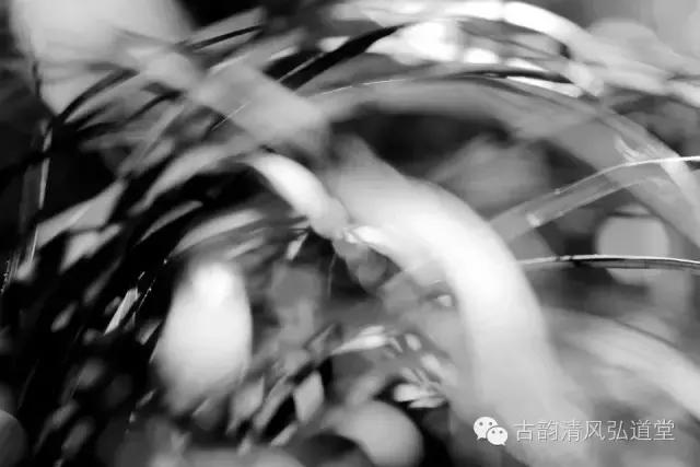 静在自然中,静悟人生真谛