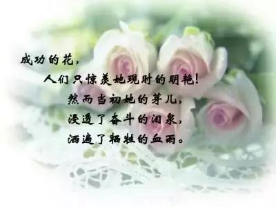 五项数据堪称队史第一人,地表最强175小托马斯采访带孩子