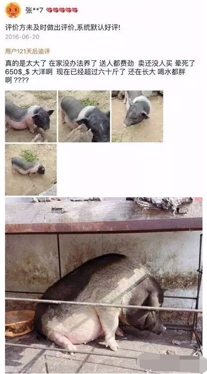 淘宝卖家最想删除的评价段子,淘宝上的评论商家可以删掉吗