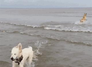 巴萨对巴黎次回合梅西世界波卡点,欧冠巴萨vs拜仁梅西成全场焦点