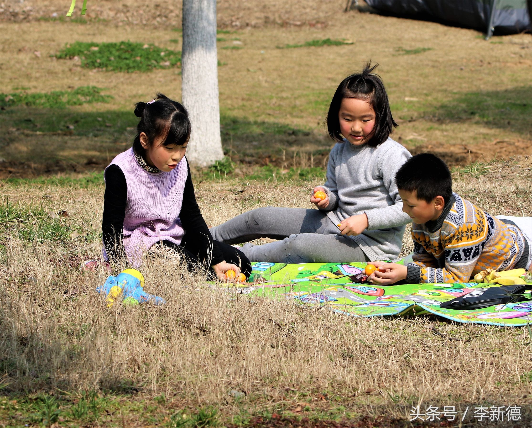 合肥翡翠心形湖,合肥最大翡翠湖