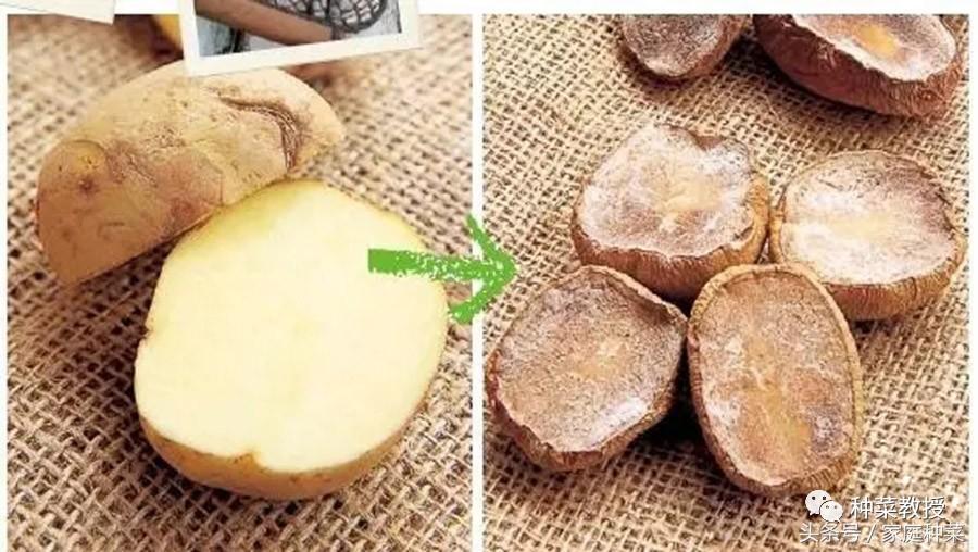 种植土豆全过程盆栽,种植土豆视频教程大全