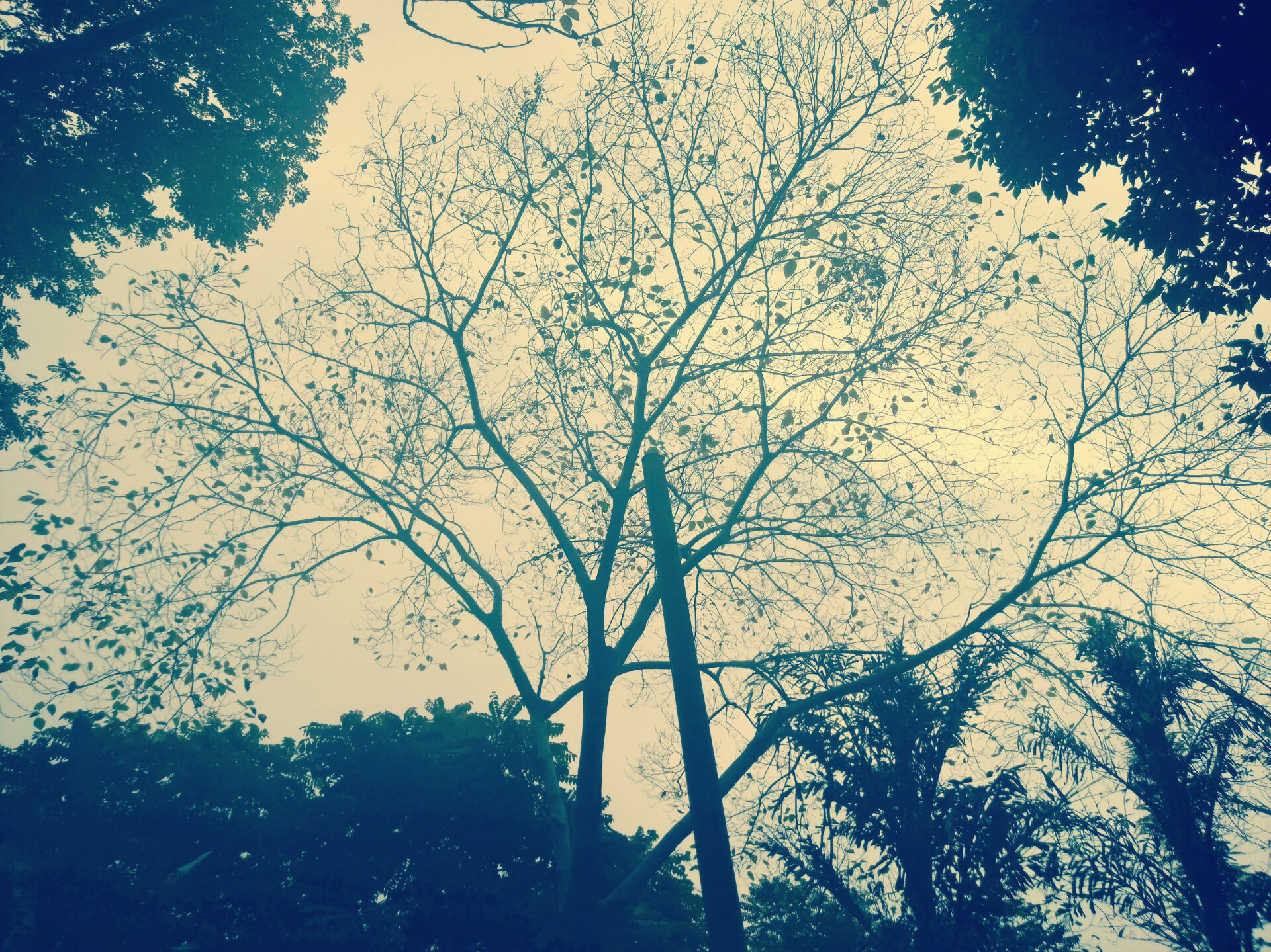 努比亚z11开箱,努比亚z11mini