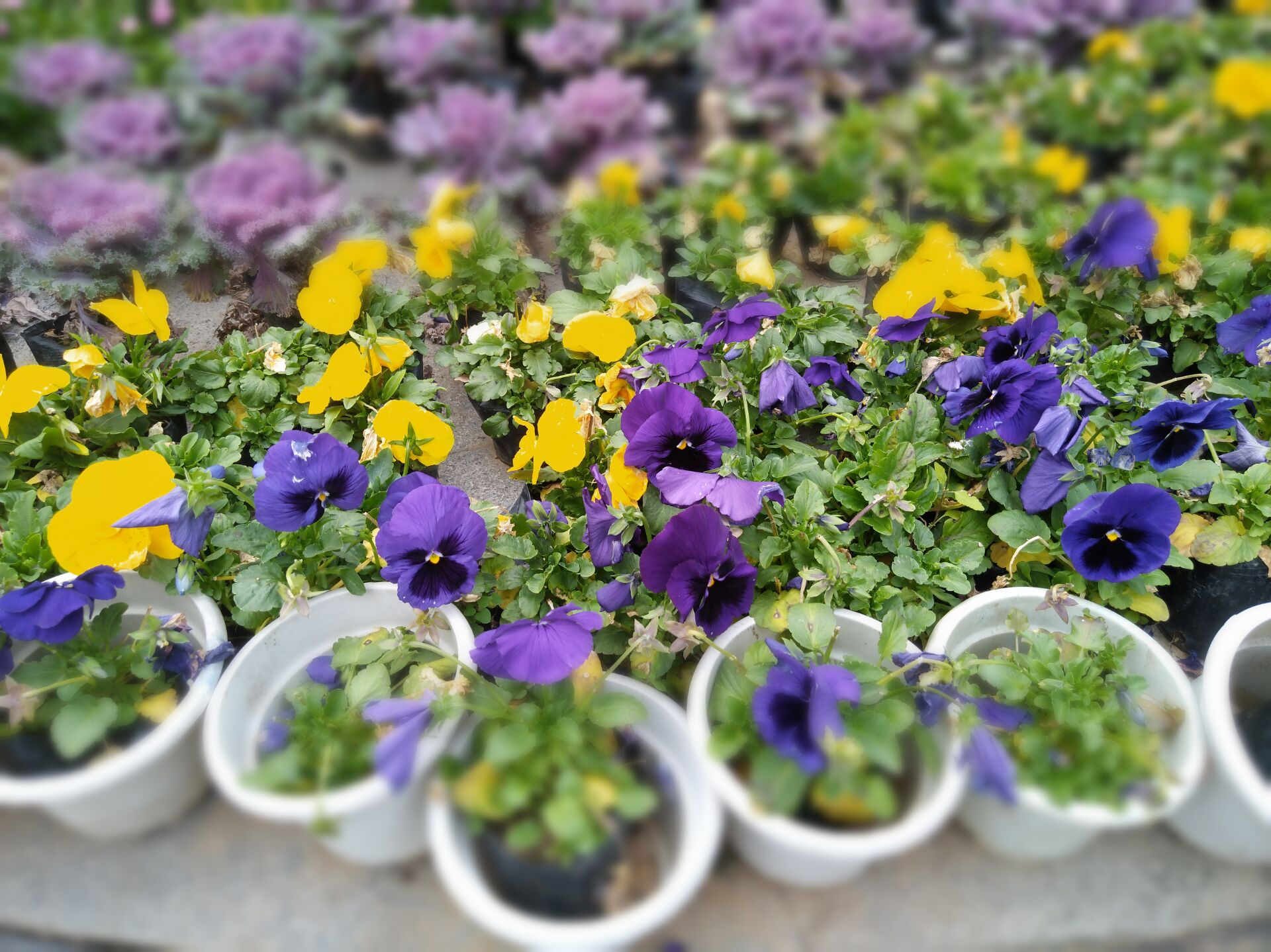 努比亚z11开箱,努比亚z11mini