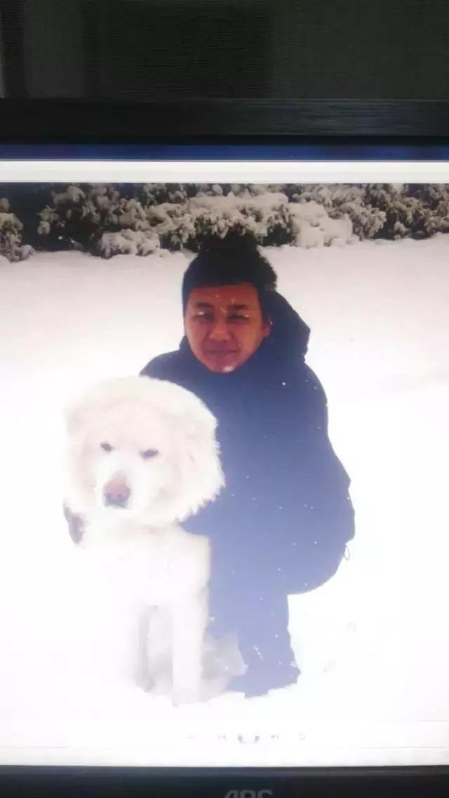 长沙宠物蜥蜴品种有哪些,别人家养的宠物蜥蜴食肉动物