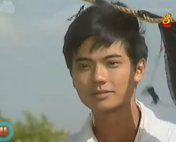 新加坡老电视剧推荐经典,近二十年新加坡经典电视剧