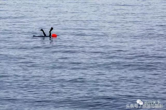 济州岛东线一日游公交攻略,济州岛步行街攻略