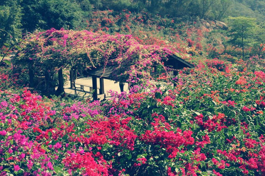 厦门慢生活惬意悠哉,厦门悠闲一日游