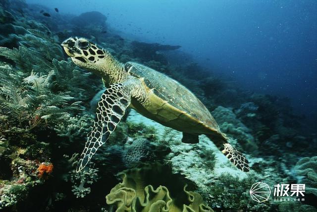 哪种眼镜质量又好戴起来又帅,无框眼镜推荐总有一款适合你