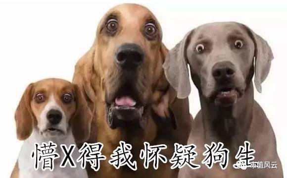 三泰控股涨的原因是什么,三泰控股2016暴涨的原因