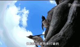 豆瓣9.7的企鹅版《无间道》，上演最萌版「原配撕小三」！