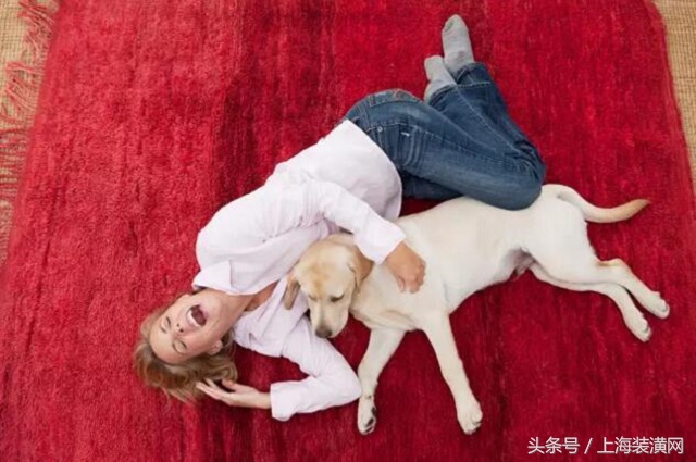 家庭地毯清洁方法,地毯怎么清洁技巧图解大全