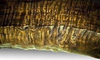 金丝楠木的吉他价格,小叶金丝楠木吉他