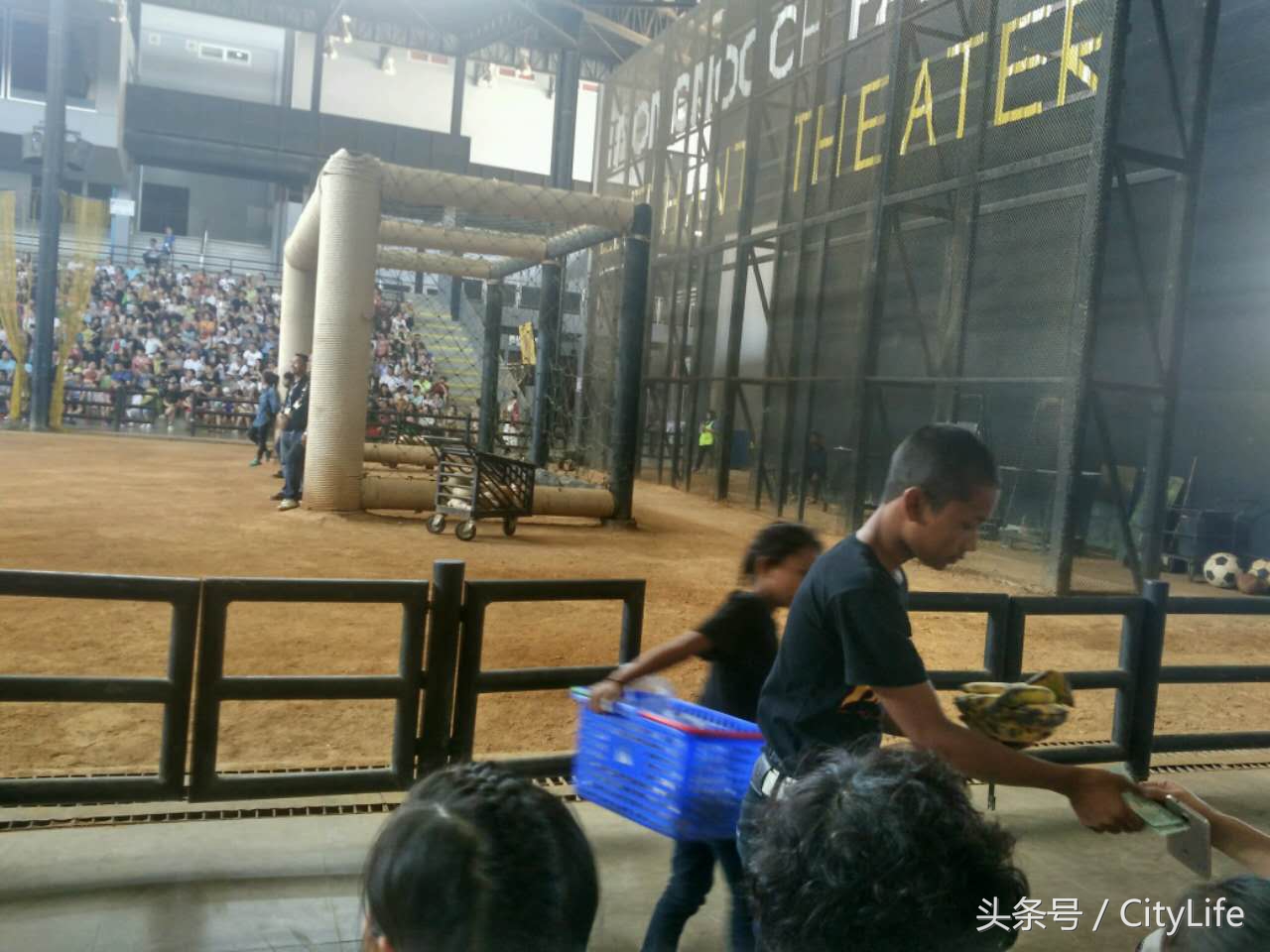 泰国芭堤雅东芭乐园,泰国芭提雅东芭公园