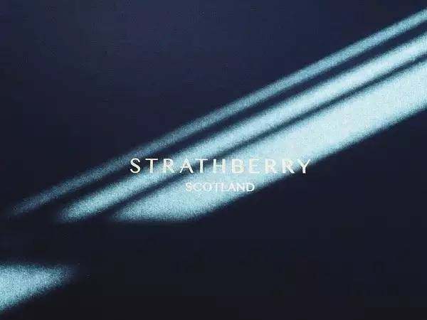 2017春夏最值得买的包,2017什么包包好看