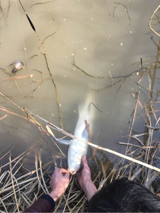 最大钓七八斤的鱼用什么竿子,5.4溪流竿能钓几斤的鱼