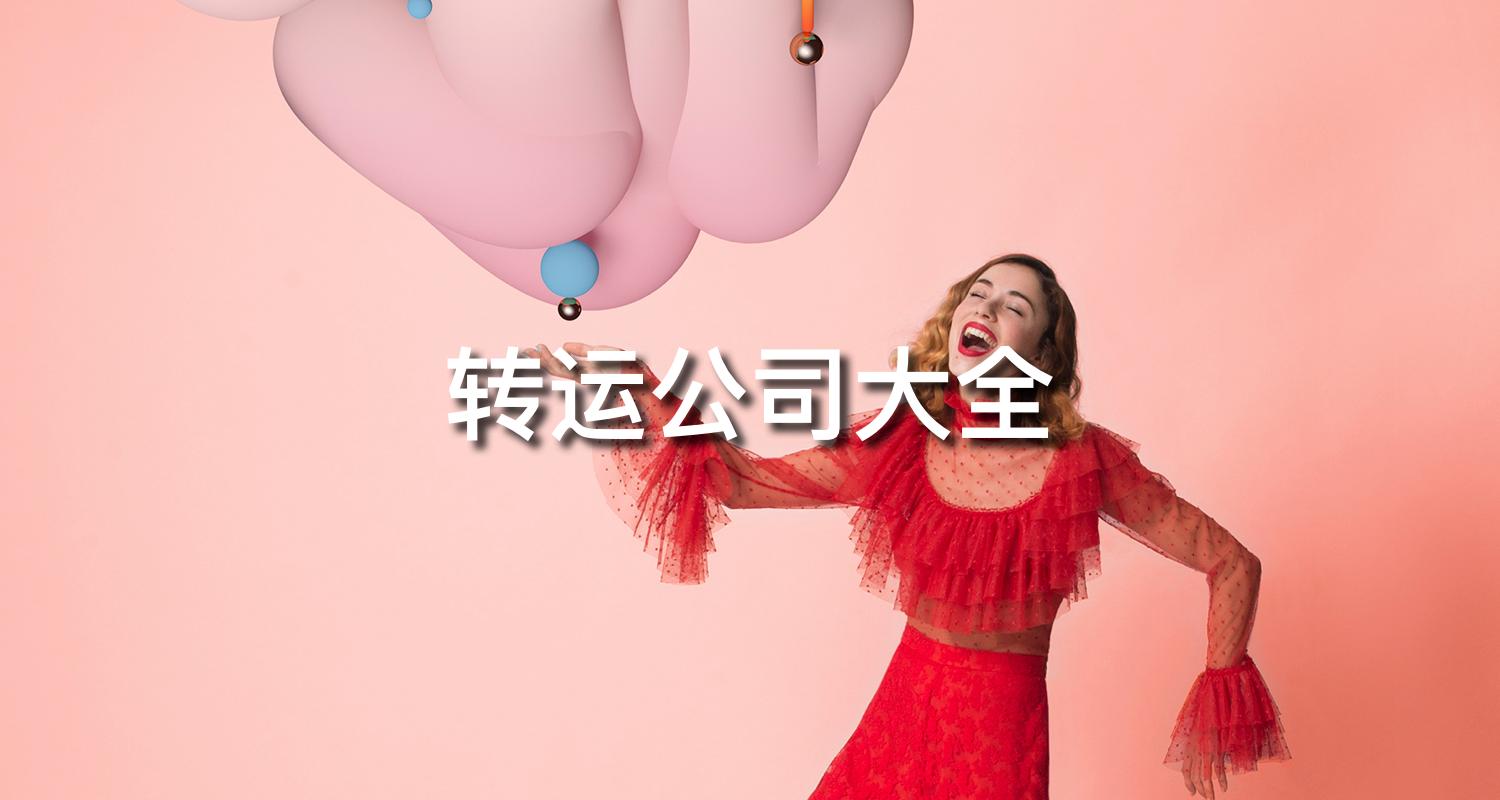 海淘转运公司大全,支持转运公司的国外网站