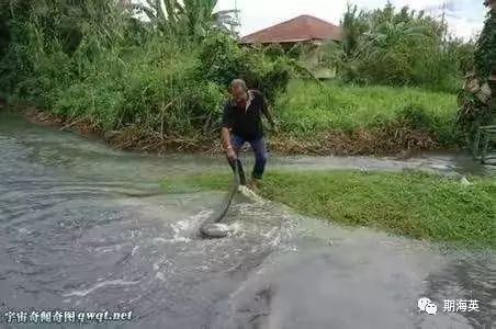 6个有趣奇闻异事保证你没听过,世界奇闻异事大全集