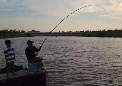 一些常见的溜鱼技巧和方法