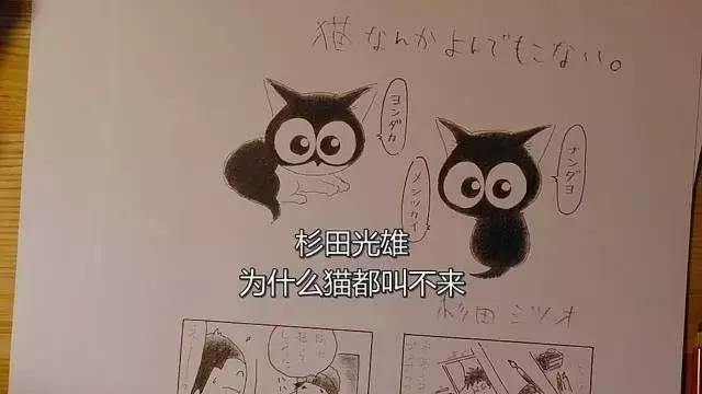 这些猫狗男女都爱看